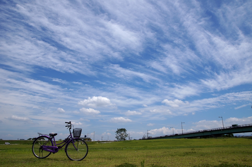青空と自転車