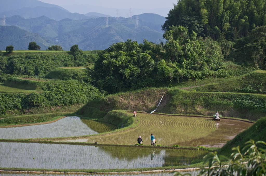 棚田の田植え風景