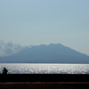 花（桜島）見て　一杯