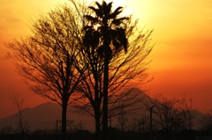 雲仙普賢岳の夕景