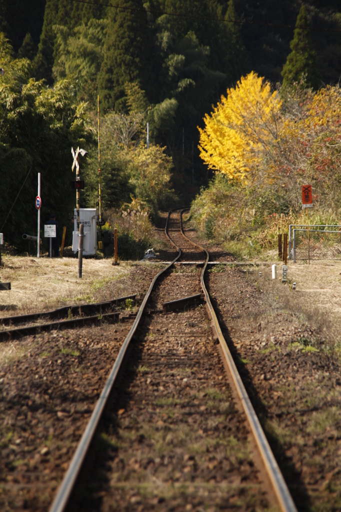 線路