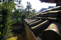 唐招提寺