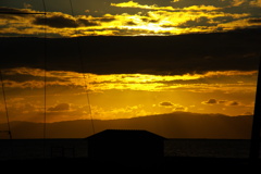 IMGP0737