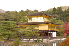 IMGP0592