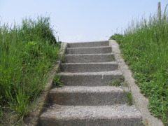 期待