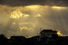 IMGP5777