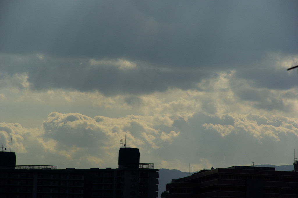 IMGP5759