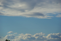 IMGP0734