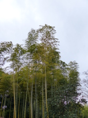 P1010520