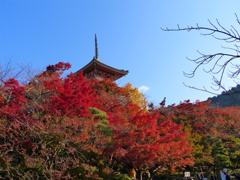 P1010190