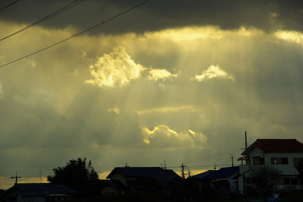 IMGP5778