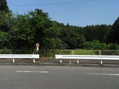 RIMG0065
