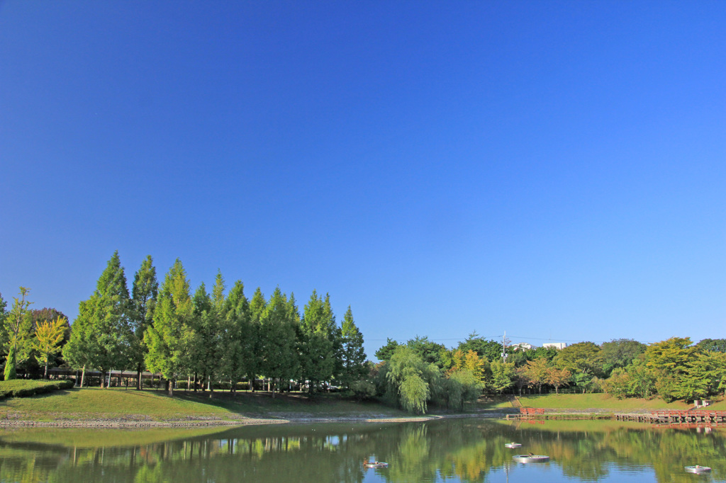 ロクハ公園