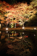 異界の美