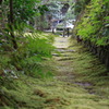 緑の小路