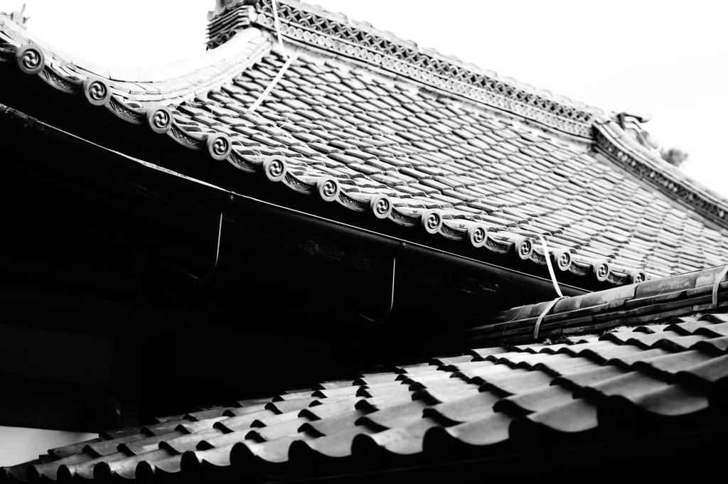 2013 秋　京都