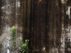 汚れた壁