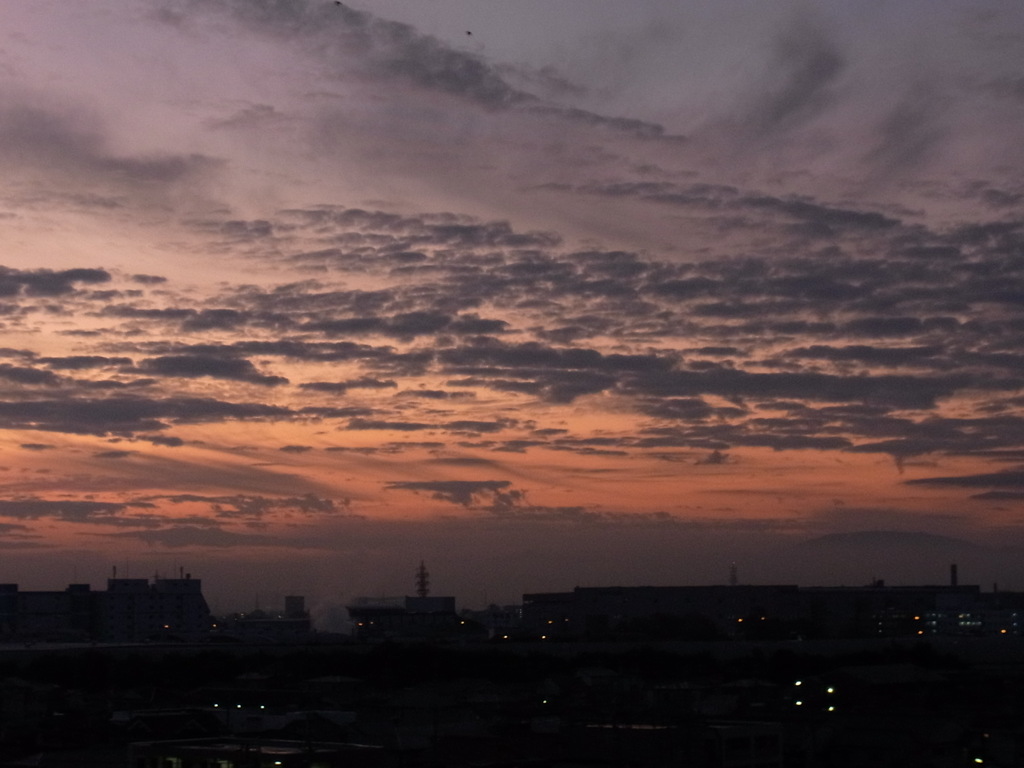 朝