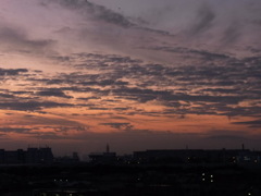 朝