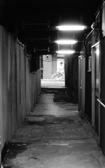 2015/5　ひとりあるく・・・