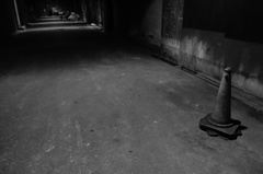 2015/5  ひとりあるく・・・