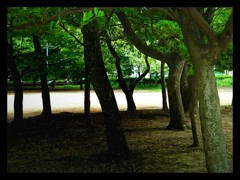 長居公園