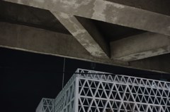 相違
