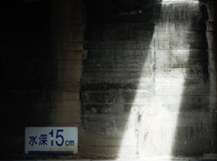 払拭