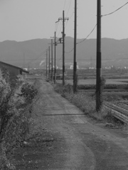 photo6