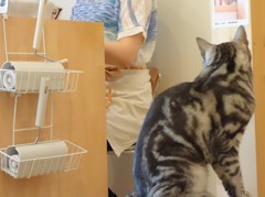 おやつまだ？