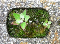 僕の居場所