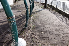 まともでない