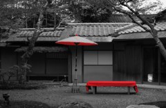 2013 秋　京都