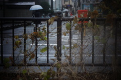 かさ
