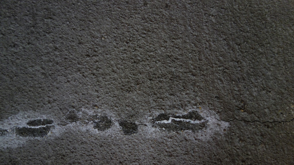 efflorescence