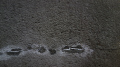 efflorescence
