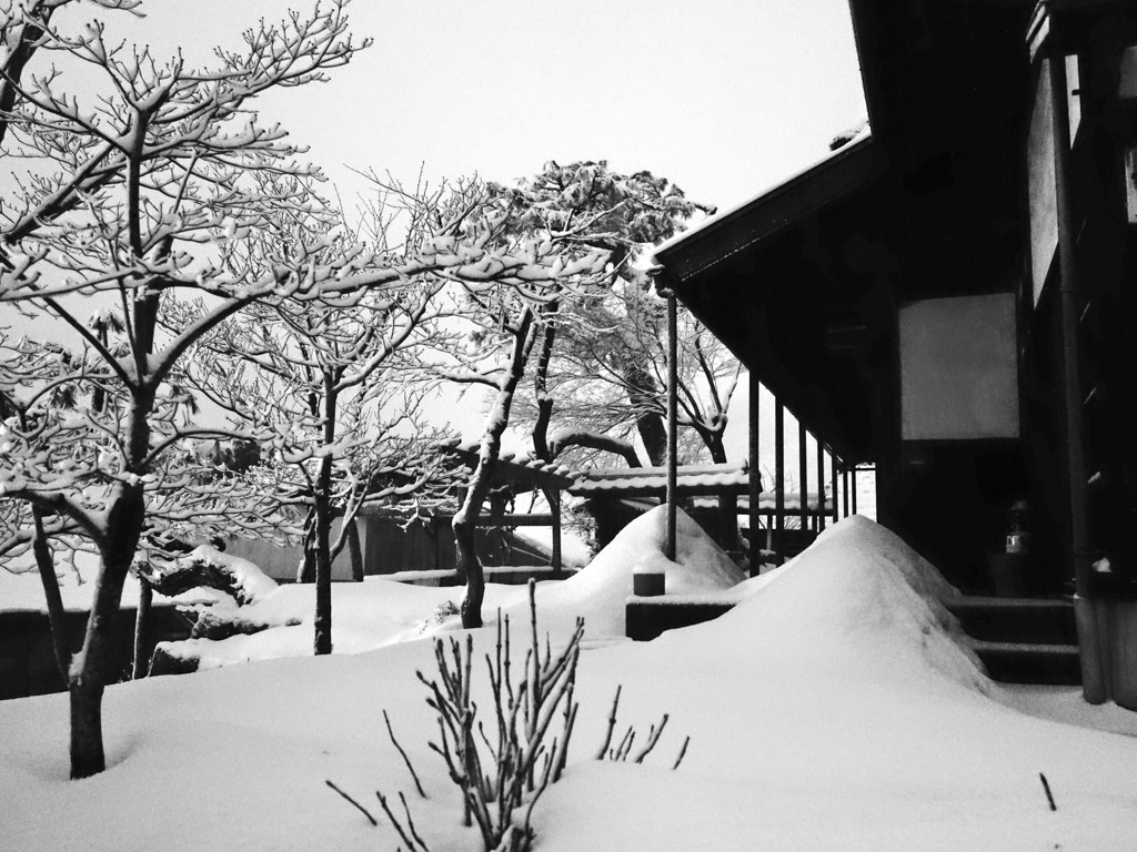 雪の造形