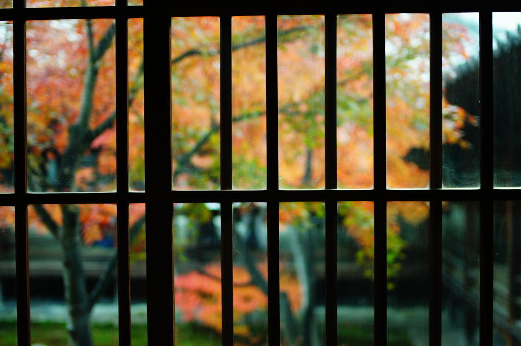 2013 秋　京都