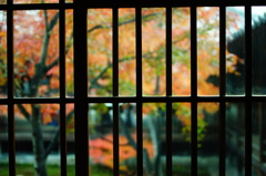 2013 秋　京都
