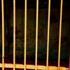 secret  door