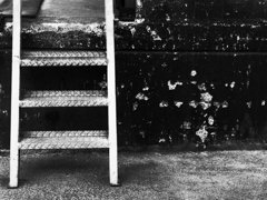 STEP