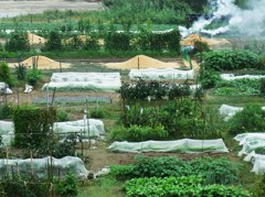 photo1
