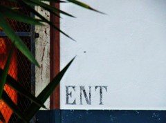 ENT