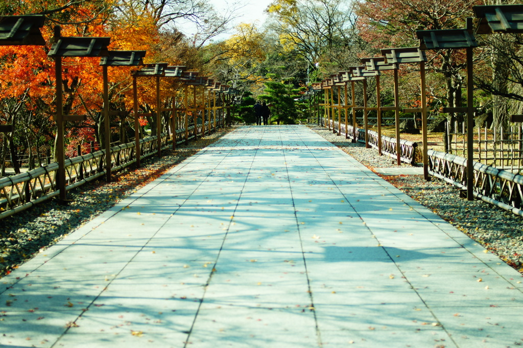 2013 秋　京都
