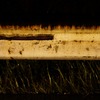 guardrail