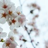 雨に負けるな！！