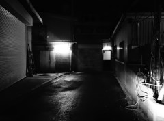照らし出されたもの