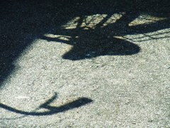 影1