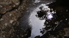 幻の存在