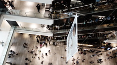 flying view
